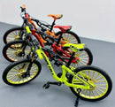 1:10 Model Downhill mtb fiets