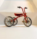 1:10 diverse model fietsen UIT DE JAREN 80