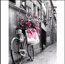 Diamond painting Fiets