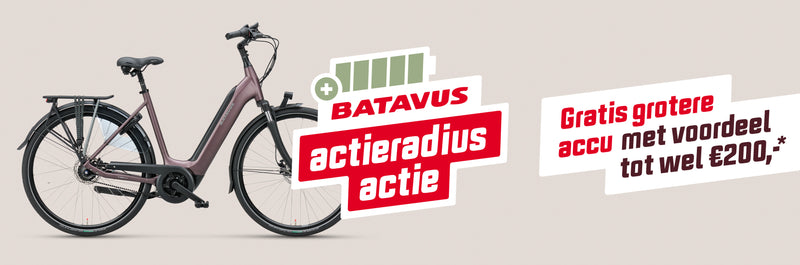 Batavus Finez Active