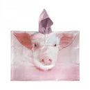 Poncho Kinderboerderijdieren