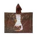 Poncho Kinderboerderijdieren