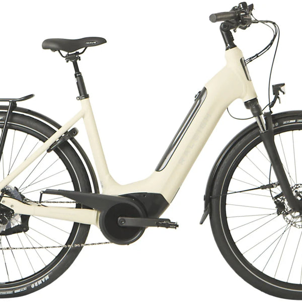 Raleigh MOTUS GT
